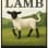 The Lamb SG Community Pub