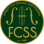 Forest City School For Strings