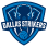 Dallas Strikers Volleyball Club