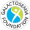 Galactosemia Foundation