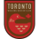 Toronto Walking Soccer Club