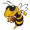 Morristown Youth Football Inc.