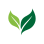 EVERFAITH MINISTRIES CORPORATION