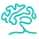 Branch Out Neurological Foundation