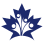 Young Professionals Canada
