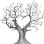 Bosque Refugio Inc