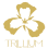 Trillium Events