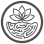 Flex Foundation Inc