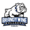 Brandywine High School PTO