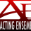 Acting Ensemble Inc