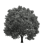 Cisco Cemetery Association, Inc.