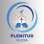 Iglesia Plenitud INC