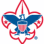 BSA Troop 393