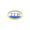 Iota Zeta Sigma Alumnae Chapter of Sigma Gamma Rho Sorority Inc.