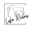 Life Reins, Inc