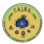 T A I N O - Taino American Indigenous National Organization
