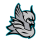 THUNDER ICE HOCKEY CLUB