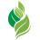 OAHA - Ontario Alliance for Homeopathic Advancement