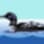 Missaukee Lake Association, Inc