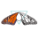 Clearwater Collective Inc.