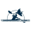 Petrie Island Canoe Club