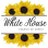 White House Church of Christ - Youth