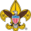 BSA Troop 529