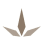 Ludowici Community Foundation