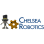 Chelsea Robotics Boosters