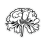 Healing Brainwaves Foundation