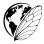 Global Entomology Coalition