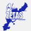 Zeta Phi Beta Sorority, Incorporated, Omega Theta Zeta Chapter