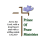Prince Of Peace International Inc