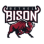 Bethel Bison High School Football Booster Club