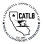 California Association Of Texas Longhorn Breeders