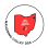 Mahoning Valley DSA