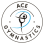 Ace Gymnastics Foundation