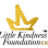 THE LITTLE KINDNESS FOUNDATION CIC