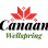 Canaan Wellspring
