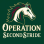 Operation Second Stride