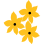Act Now Foundation