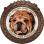 lavish 808 bulliez rescued paws