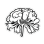 Healing Brainwaves Foundation