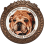 lavish 808 bulliez rescued paws