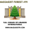 Massasoit Forest #91 Tall Cedars of Lebanon International