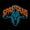 Pebble Hills High School Band & Color Guard