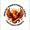 From Pain to Progress Mentoring and outreach Program