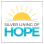Silver Lining Of Hope