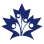 Young Professionals Canada