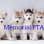 Pta New Jersey Congress Of Parents & Teachers